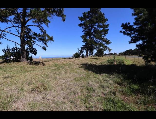 FARM FOR SALE IN GEORGE RURAL